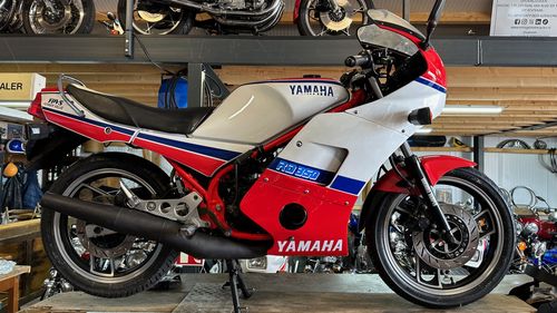 Picture of 1987 Yamaha RD350 YPVS - For Sale
