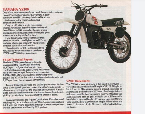 1979 Yamaha YZ 100 - 3
