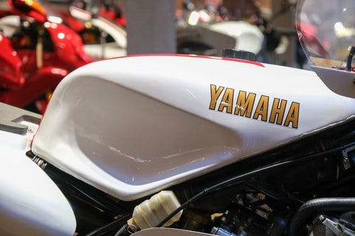 1982 Yamaha TZ 500 - 5