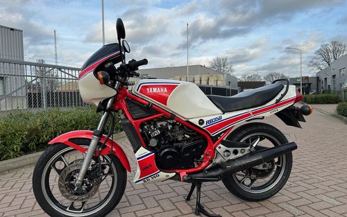 1984 Yamaha RD 350 (picture 1 of 31)