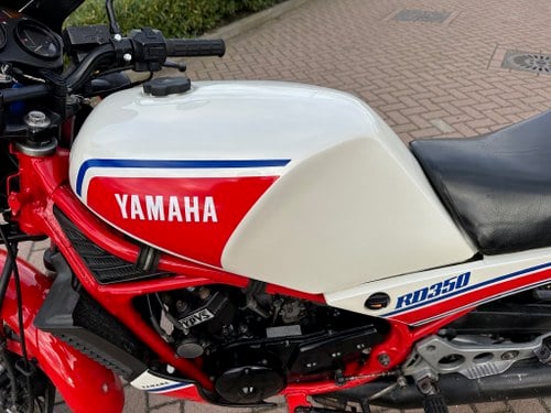 1984 Yamaha RD 350 - 8