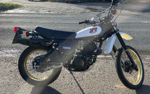 1980 Yamaha XT 500 (picture 1 of 31)