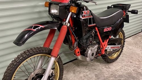 Picture of 1986 Yamaha XT 600 - For Sale