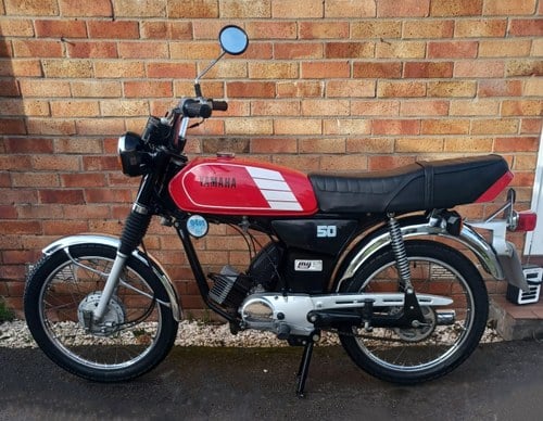 1992 1993 Yamaha FS1E For Sale by Auction