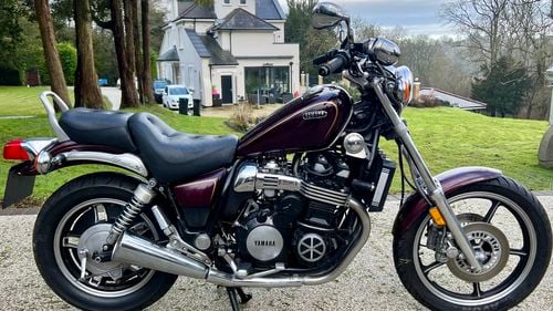 Picture of 1985 XJ700X MAXIM - For Sale