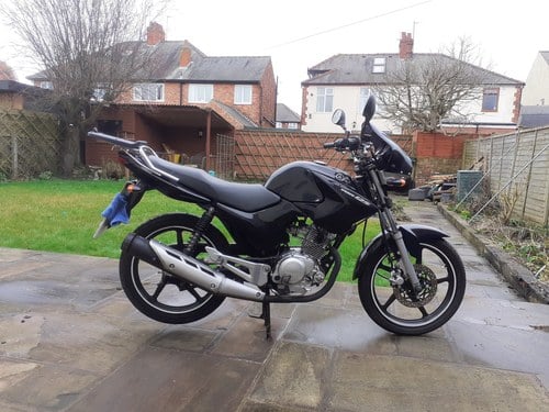 2010 Yamaha YBR 125