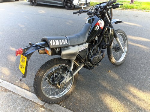 1983 Yamaha DT 125 - 5