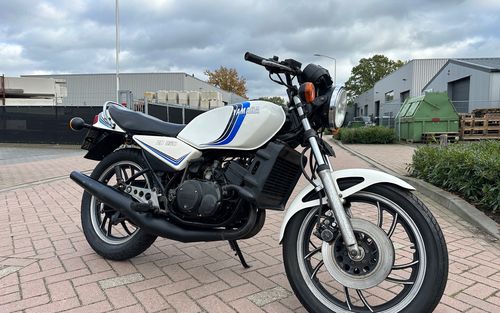 1987 Yamaha RD 250 (picture 1 of 71)
