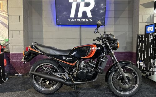 1981 Yamaha RD 250 (picture 1 of 22)