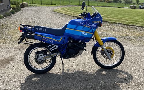 1989 Yamaha XT 600 (picture 1 of 14)
