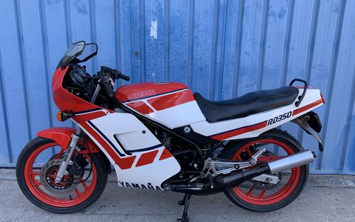 1989 Yamaha RD 350 (picture 1 of 22)