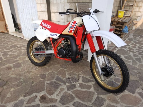 1984 Yamaha YZ 250