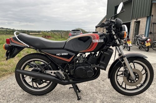 1980 Yamaha RD 250LC Vente aux enchères