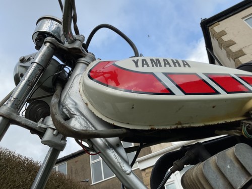 1979 Yamaha TY 50