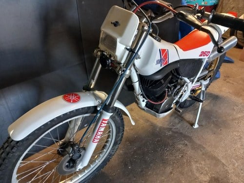 1984 Yamaha TY 250 Kaufen Bei
