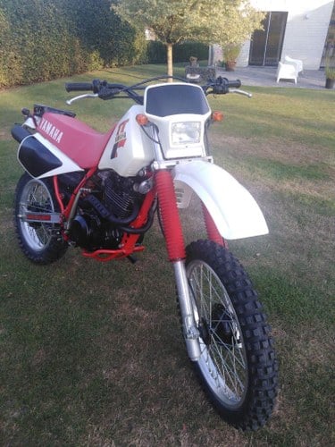 1983 Yamaha TT 600 For Sale
