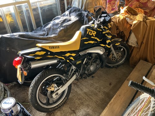 1988 Yamaha TDR 250