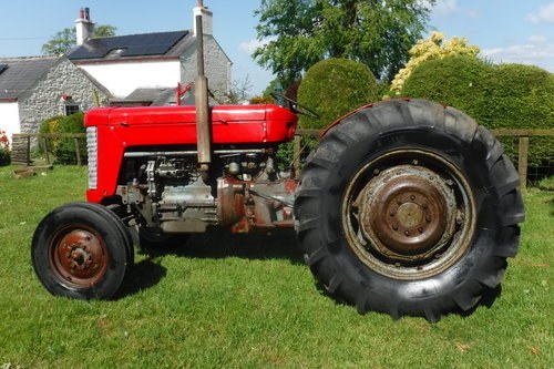 1961 MASSEY FERGUSIN 65 VERY TIDY ALL WORKS SEE VID CAN DROP SOLD
