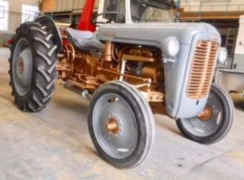 1957 Ferguson 35 Tractor at Morris Leslie Auction 18th August In vendita all'asta