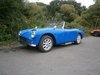 TURNER MK1  BLUE  1961  IMMACULATE WELL LOOKED AFTER CAR  For Sale