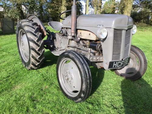 1955 FERGUSON TE20 GREY FERGIE ROAD REG TIDY ALL WORK CAN DELIVER SOLD