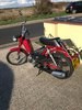Puch Free Spirit moped (1983) SOLD