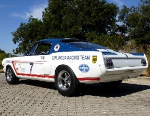 1965 Ford Mustang FastBack =Terlingua Race Team  $76k For Sale