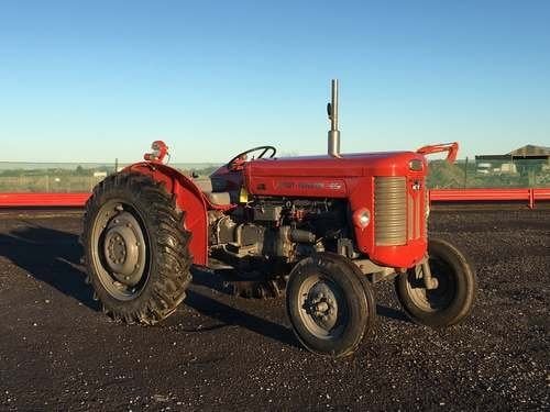 1961 Massey Ferguson 65 at Morris Leslie Auction 23rd February For Sale by Auction