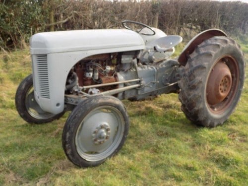 1953 Ferguson TED20 TVO For Sale by Auction