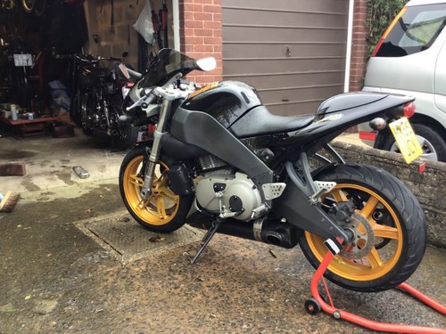 2005 Buell. XB B R For Sale
