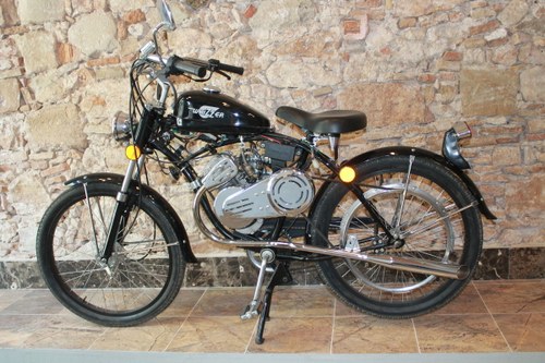 WHIZZER PANTHER – 2003 In vendita all'asta