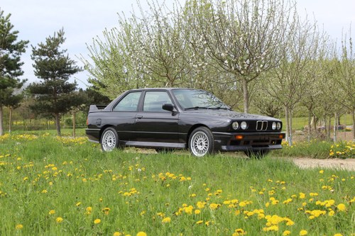 BMW M3 E30 For Sale by Auction