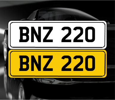 BNZ 220 In vendita