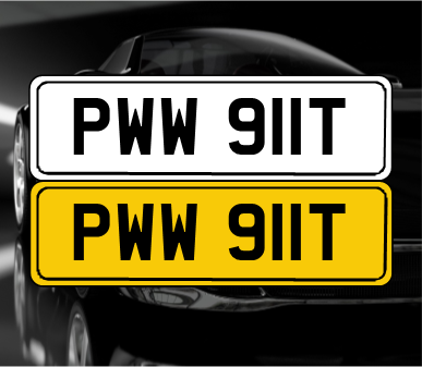 PWW 911T In vendita