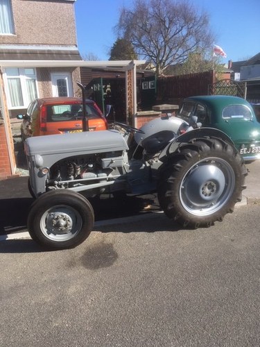 1951 Show condition Grey Ferguson tractor For Sale