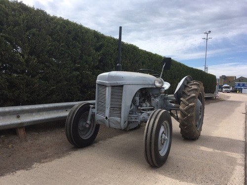 1954 Ferguson TEA-20 Tractor at Morris Leslie Auction 25th May For Sale by Auction