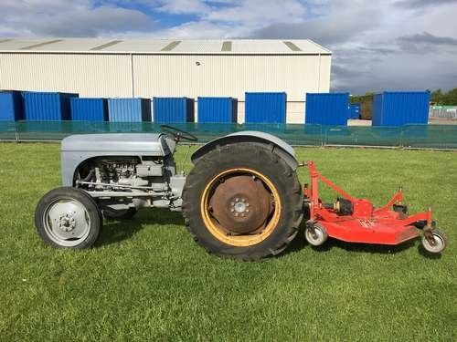 1952 Ferguson TEC-20 Narrow Petrol Tractor at Morris Leslie For Sale by Auction