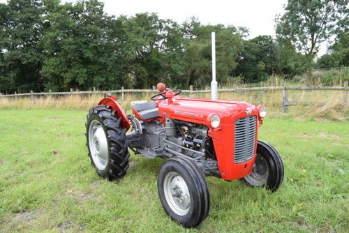 1961 Massey-Ferguson MF35 For Sale by Auction