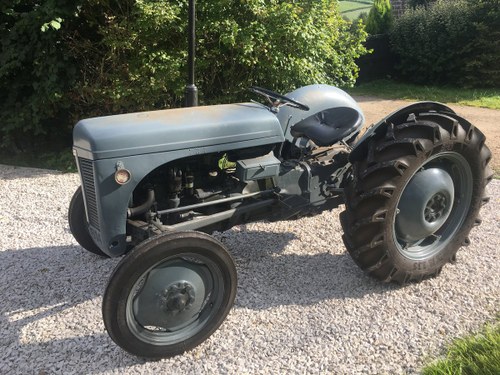 1948 Ferguson T20 Petrol Tractor VENDU