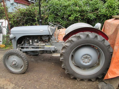 1954 ferguson tractor In vendita