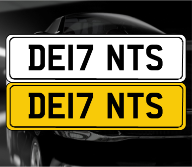 DE17 NTS In vendita