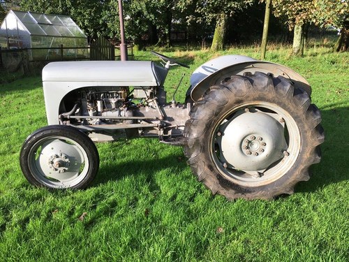 1951 FERGUSON TE20 GREY FERGIE ROAD REG TIDY ALL WORK CAN DELIVER SOLD