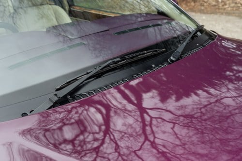 1995 Bentley Continental R En venta (imagen 143 de 258)