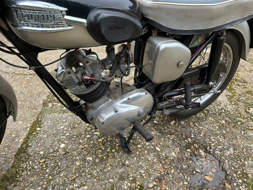 1964 Triumph Tiger Cub For Sale (picture 14 of 25)