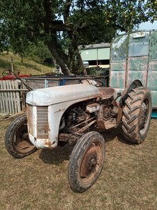 1957 Ferguson T20d tractor barn find TVO road registered In vendita