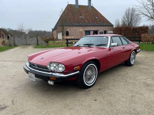 1988 Jaguar XJS V12 Coupe En venta (imagen 1 de 64)