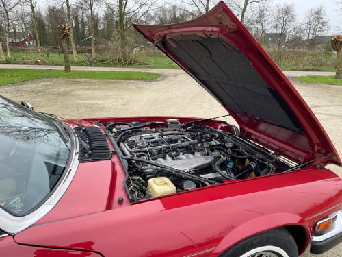 1988 Jaguar XJS V12 Coupe En venta (imagen 38 de 64)