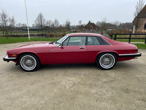 1988 Jaguar XJS V12 Coupe En venta (imagen 10 de 64)