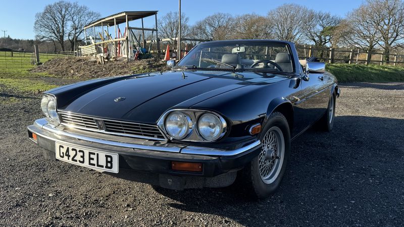 1989 Jaguar XJ-S V12 Convertible For Sale (picture 1 of 15)