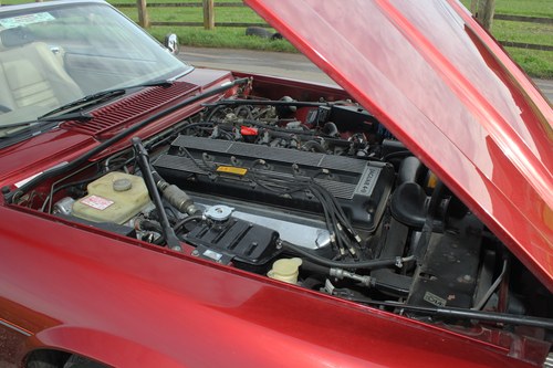 1993 Jaguar XJS Convertible 4.0 For Sale (picture 147 of 184)